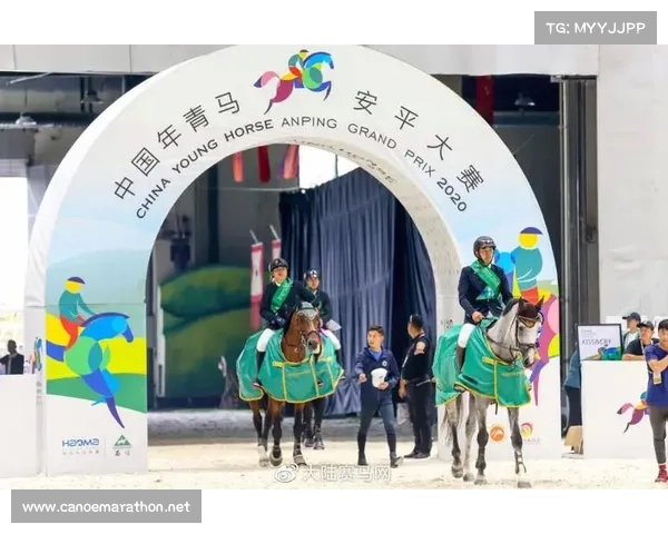 2017宠物赛事年度盛典精彩回顾温情瞬间竞技风采无限 2017宠物赛事年度盛典精彩回顾温情瞬间竞技风采无限