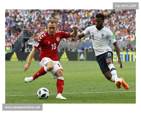 丹麦vs法国赛事分析-丹麦对法国比分是多少