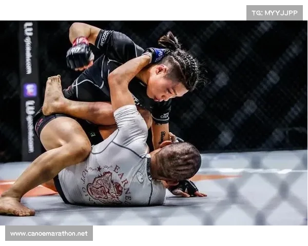 国际mma赛事,世界mma锦标赛