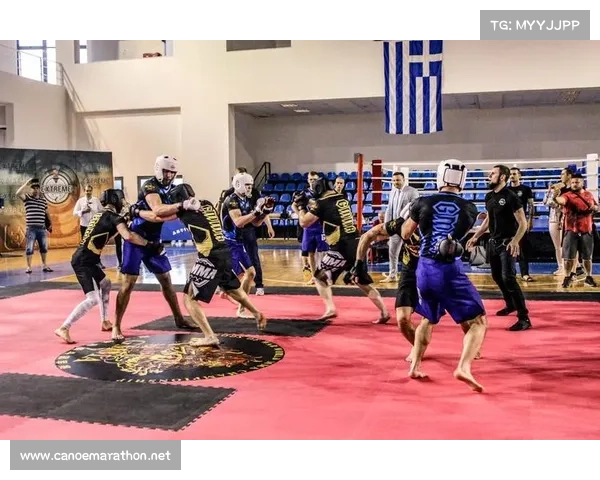 综合格斗锦标赛